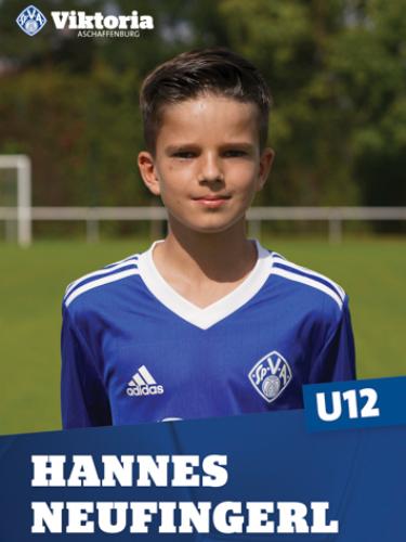 Avatar Bild für Hannes Neufingerl