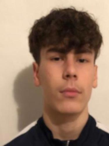 Avatar Bild für Dario Stanic