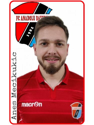 Avatar Bild für Anes Mecikukic