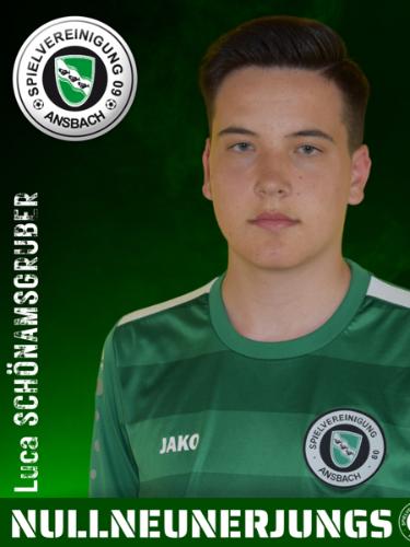 Avatar Bild für Luca Schönamsgruber