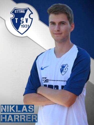 Avatar Bild für Niklas Harrer