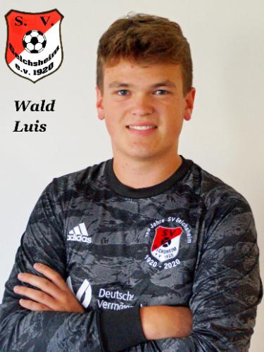 Luis Wald