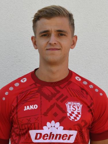 Avatar Bild für Lion Holler