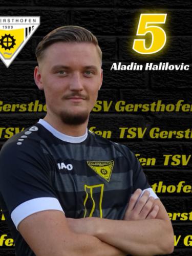 Avatar Bild für Aladin Halilovic