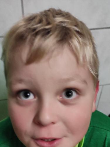 Avatar Bild für Hannes Steger