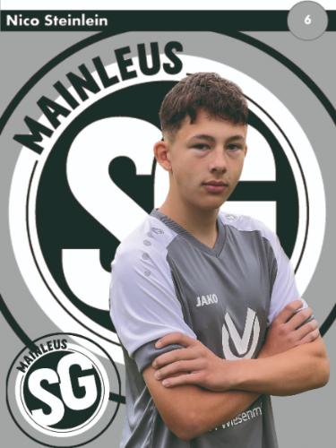 Avatar Bild für Nico Steinlein