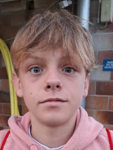 Avatar Bild für Karlsson Heil