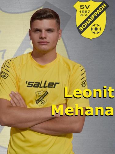 Leonit Mehana