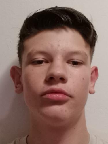 Avatar Bild für Dominik Samarozic