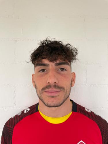 Avatar Bild für Domenico Alberico