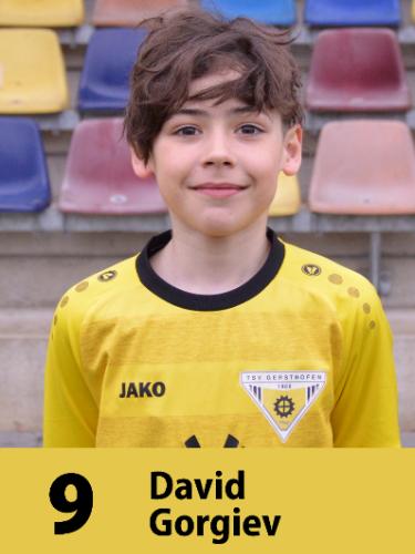 Avatar Bild für David Gorgiev