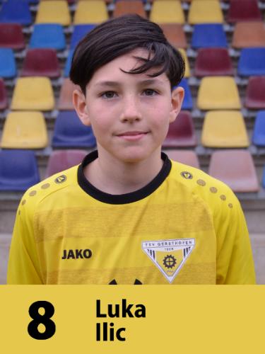 Luka Ilic