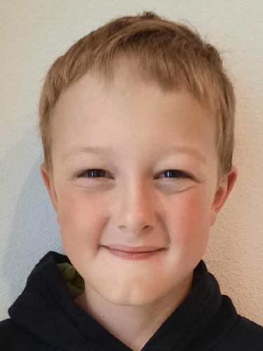 Avatar Bild für Michael Widl