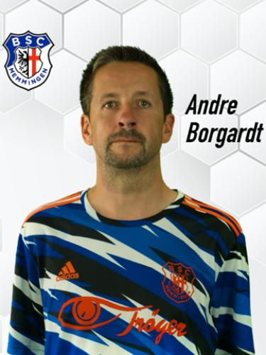 Andre Borgarth