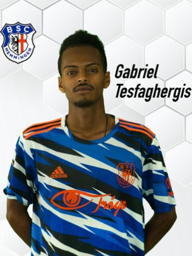 Gabriel Tesfaghergis