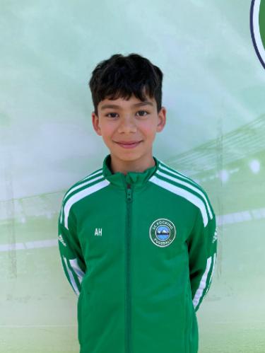 Amir Haydari