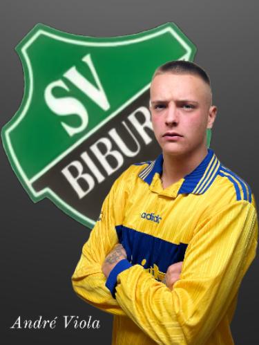Andre Viola