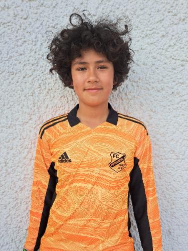 Avatar Bild für Master Höblinger