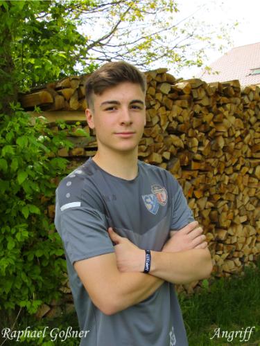 Avatar Bild für Raphael Goßner