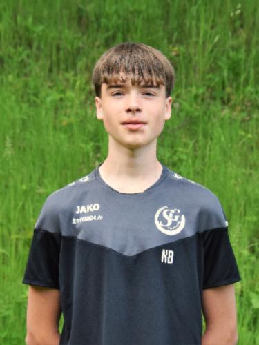 Avatar Bild für Nico Biemüller