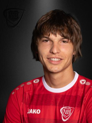 Avatar Bild für Slavko Radovanovic