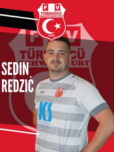 Sedin Redzic