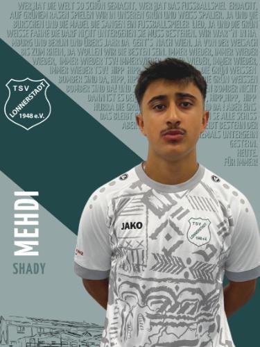Shady Mehdi
