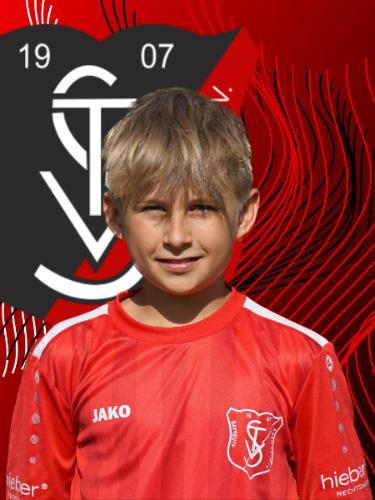 Avatar Bild für Theo Wolf