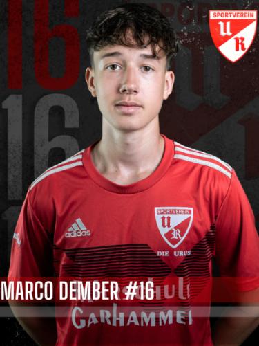 Marco Dember