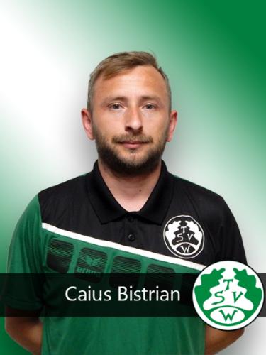 Caius Bistrian