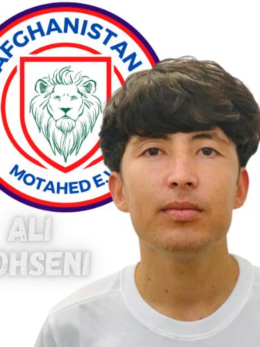 Ali Mohseny Hazara