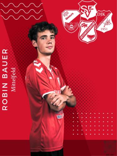 Avatar Bild für Robin Bauer