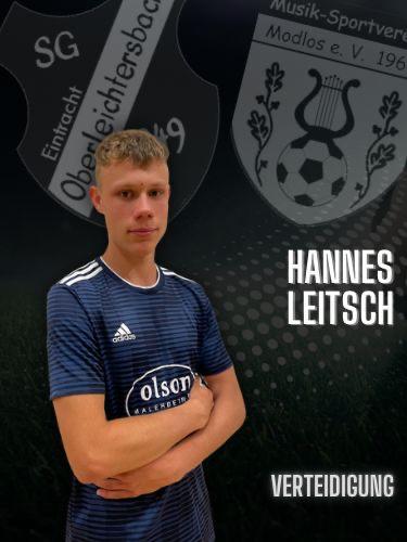Hannes Leitsch