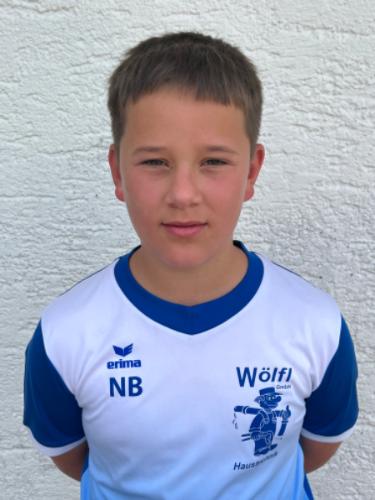 Niklas Birnböck
