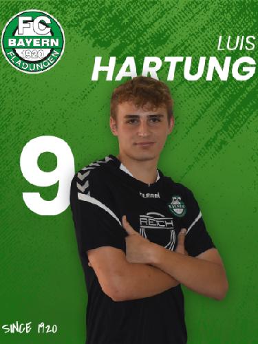 Luis Hartung