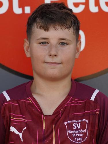 Alexander Feichtinger