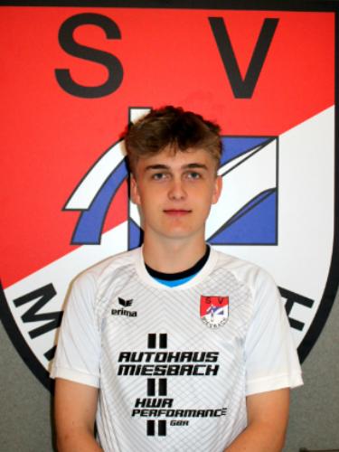 Avatar Bild für Nico Folk