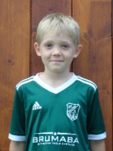 Daniel Hausdorff