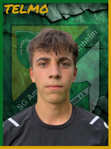 Avatar Bild für Telmo Azevedo Costa