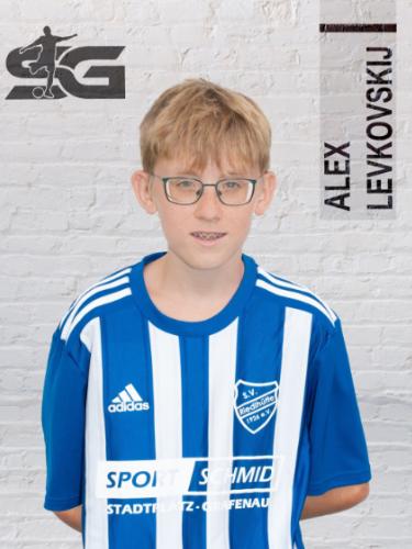 Avatar Bild für Alexander Levkovskij