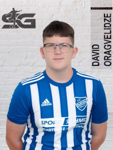 Avatar Bild für David Oragvelidze