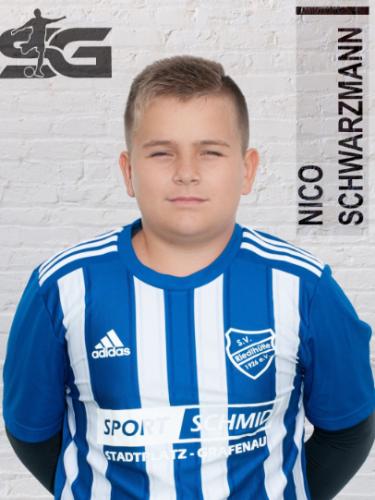 Avatar Bild für Nico Schwarzmann