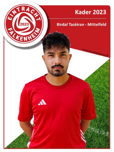 Avatar Bild für Birdal Taskiran