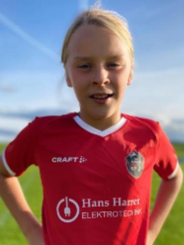 Avatar Bild für Niklas Niesl