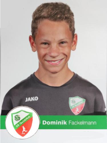 Dominik Fackelmann