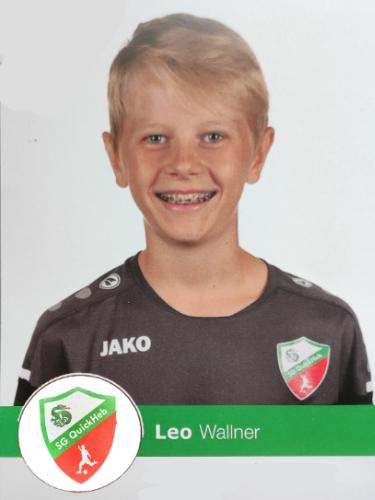 Leo Wallner