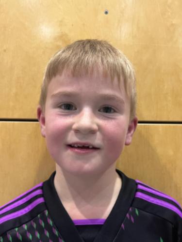 Avatar Bild für Timo Wagner