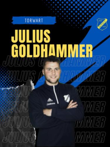 Julius Goldhammer