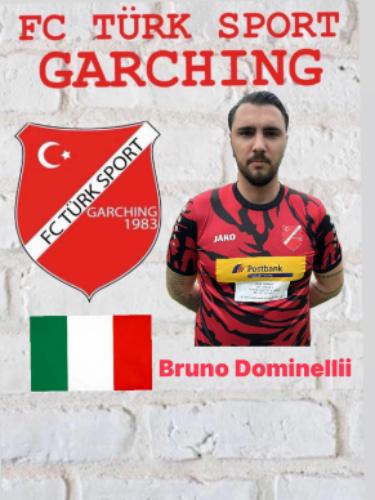 Bruno Dominelli