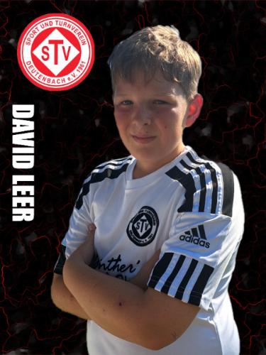 David Leer
